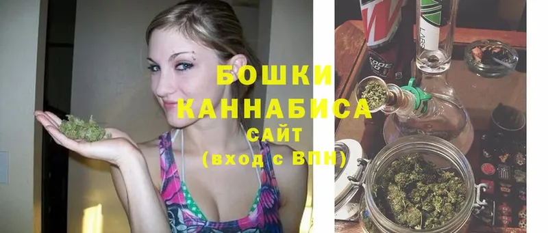 Бошки марихуана THC 21%  Георгиевск 